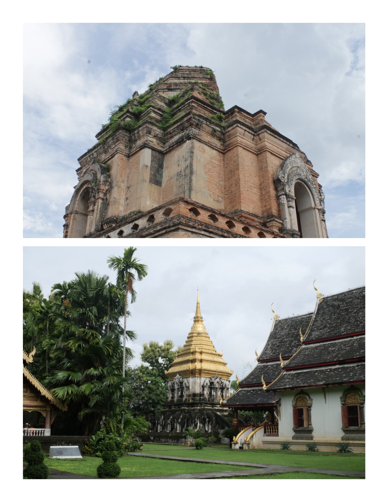 PORTFOLIO — หน้า 12