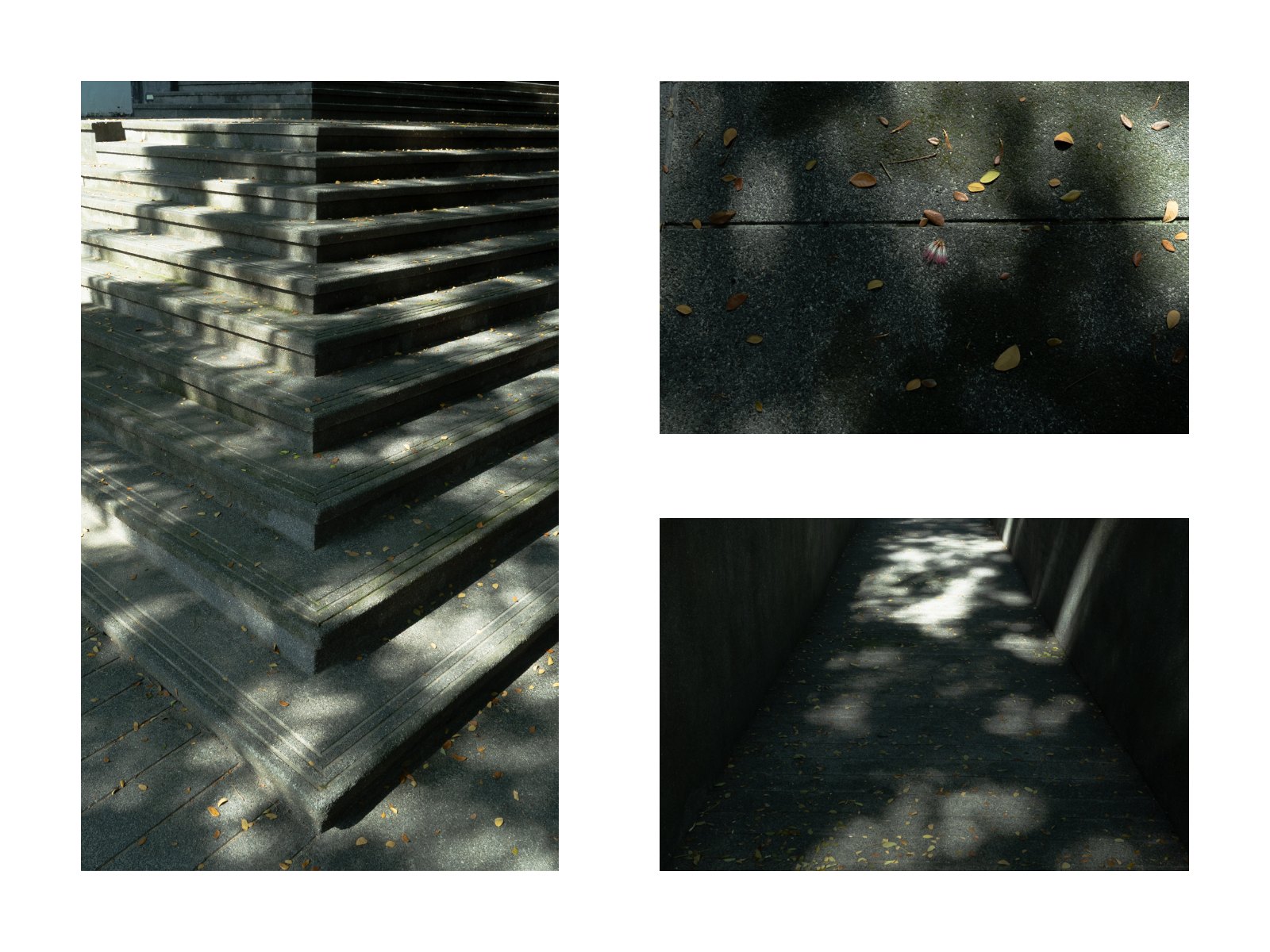 Foliage light — Page 8