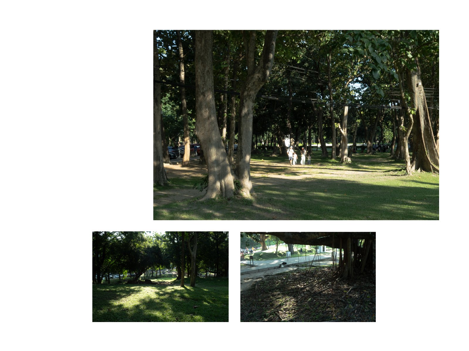 Foliage light — Page 9