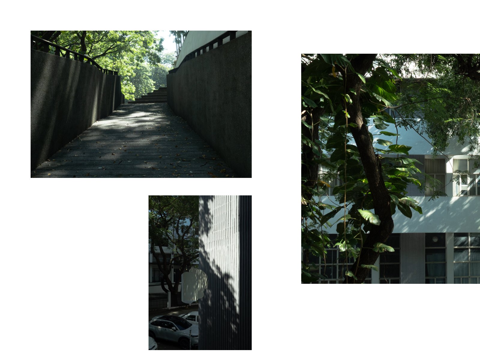 Foliage light — Page 14