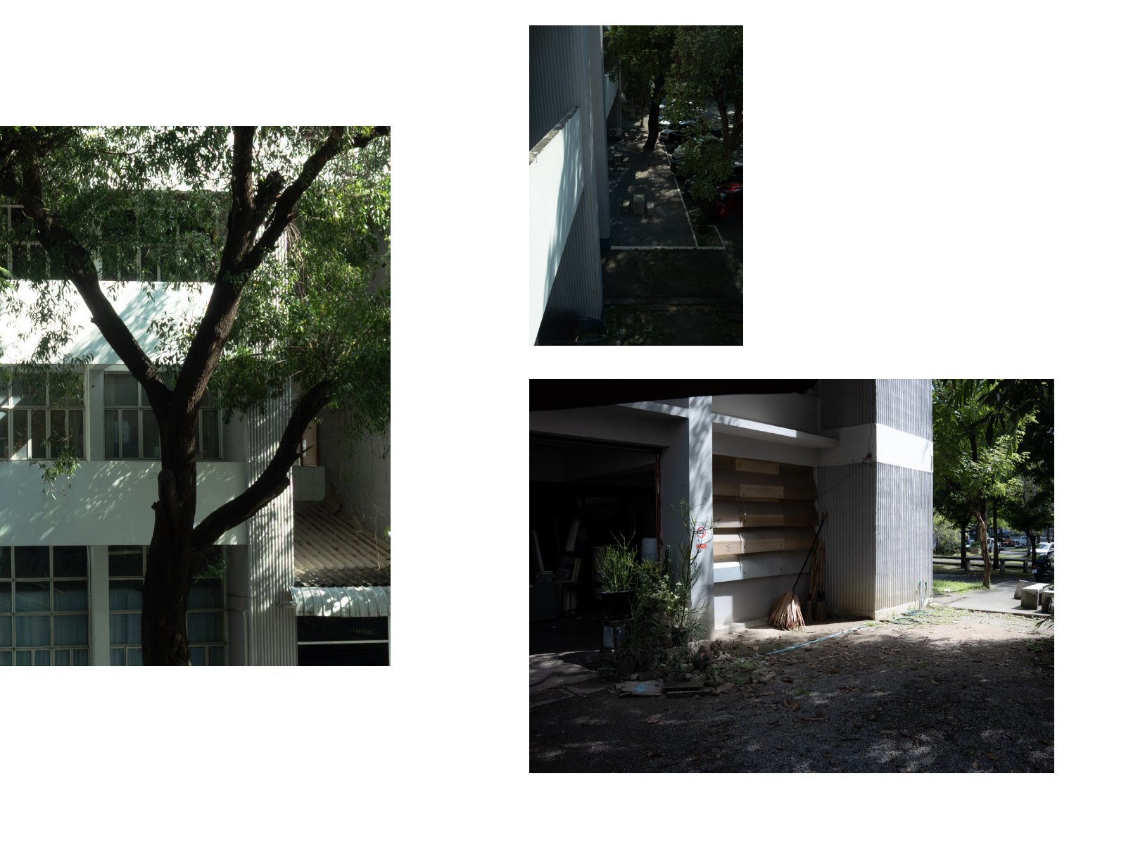 Foliage light — Page 15