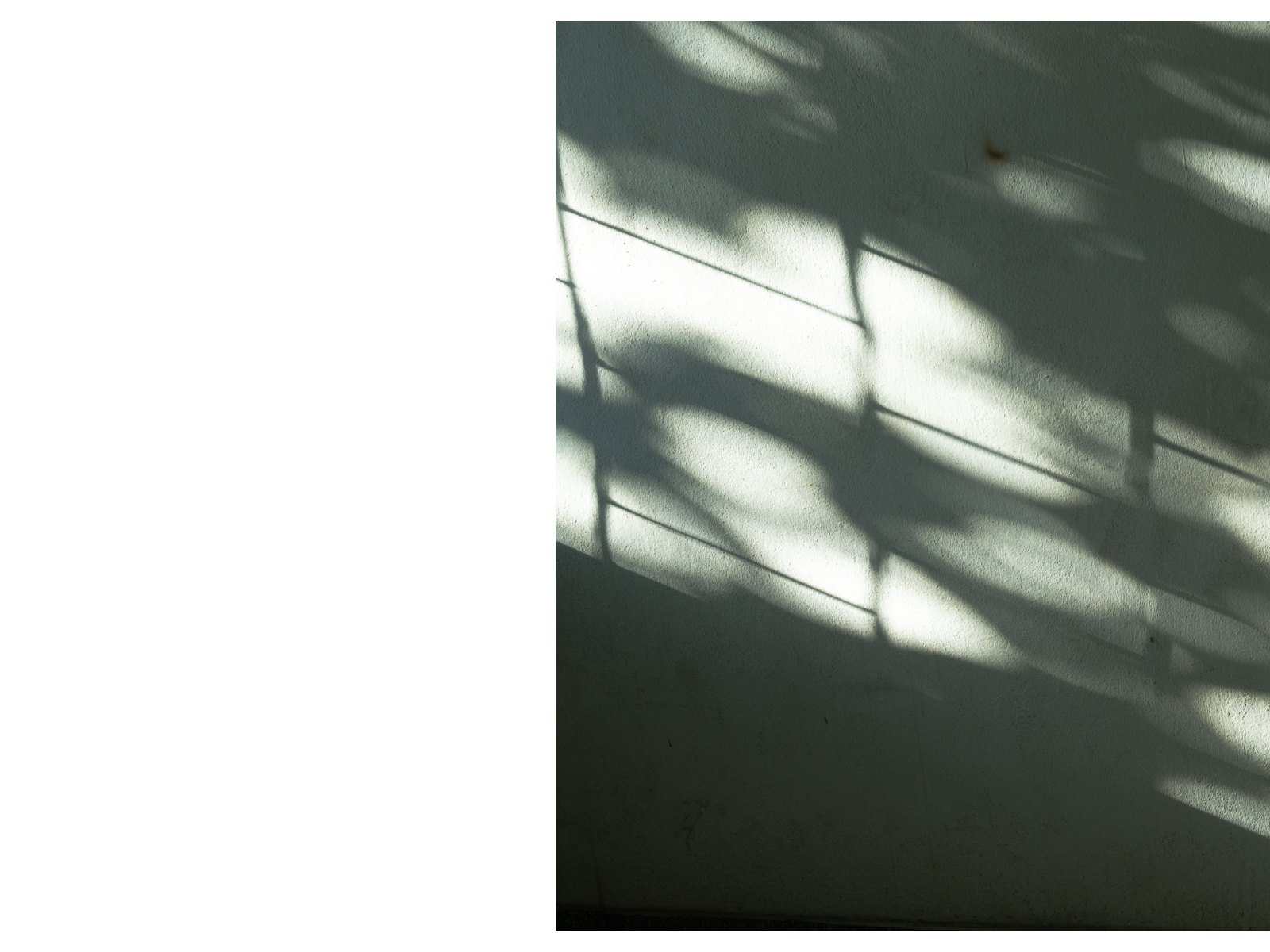 Foliage light — Page 16