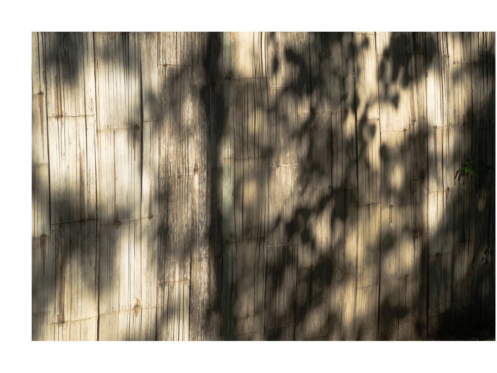 Foliage light — Page 24