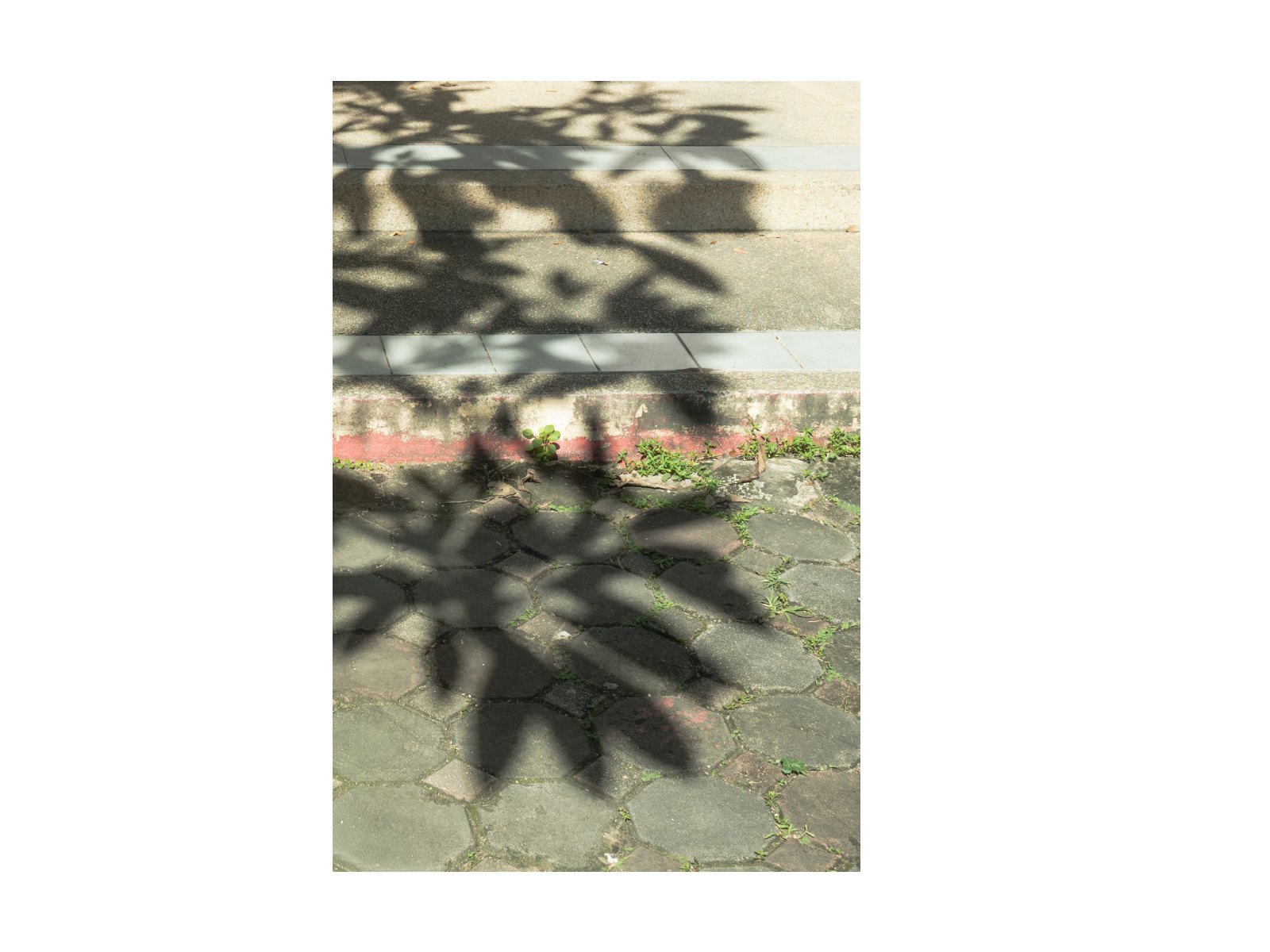 Foliage light — Page 25