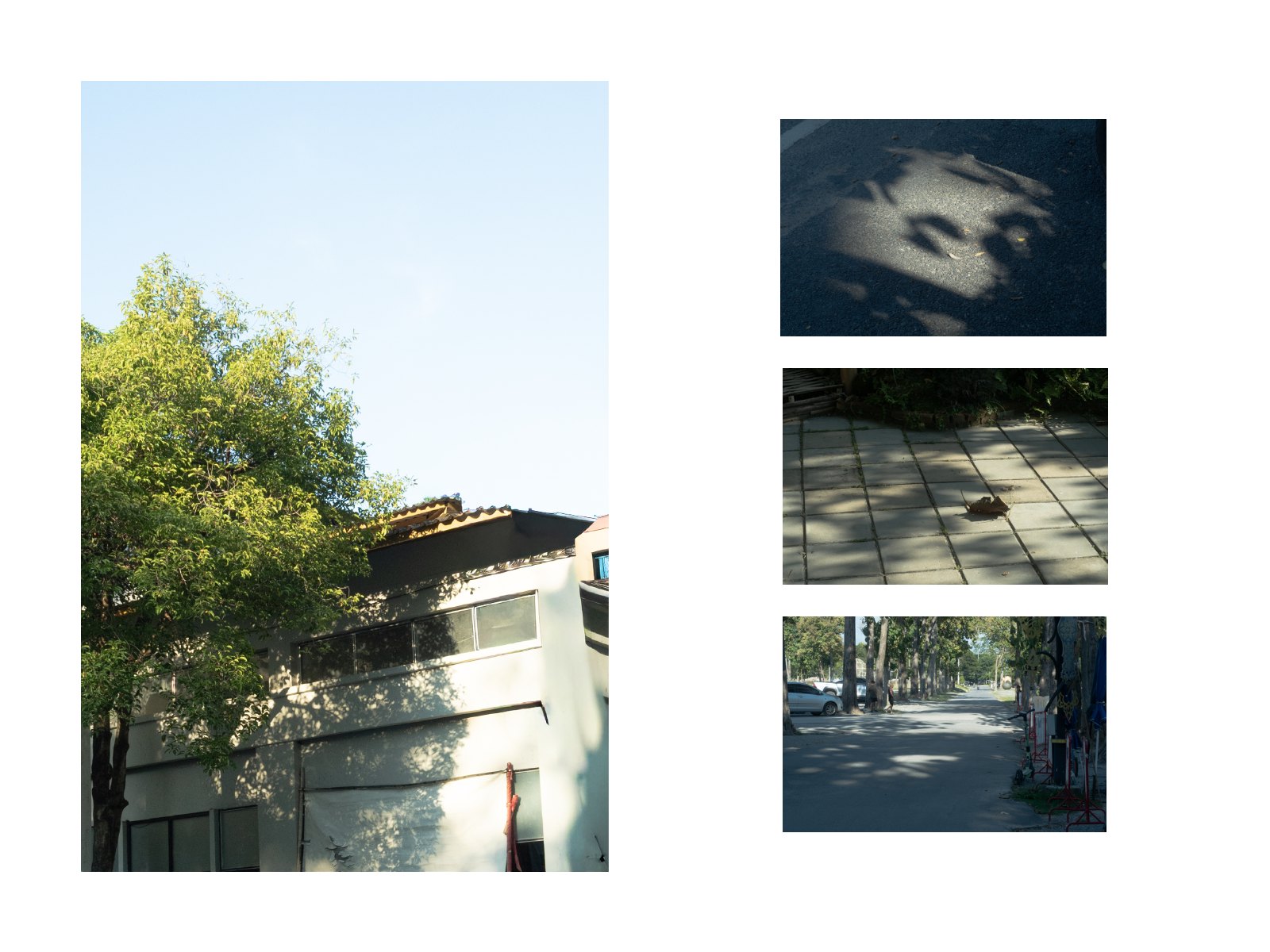 Foliage light — Page 27