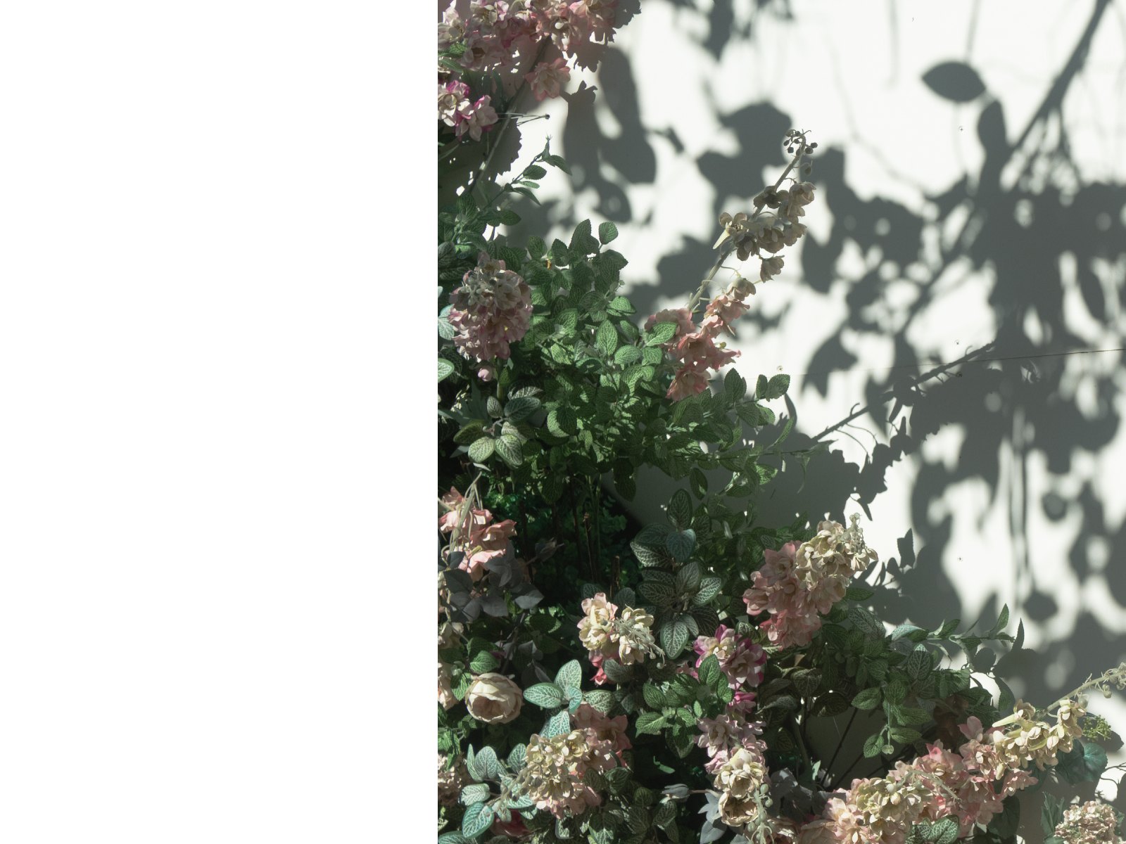 Foliage light — Page 28