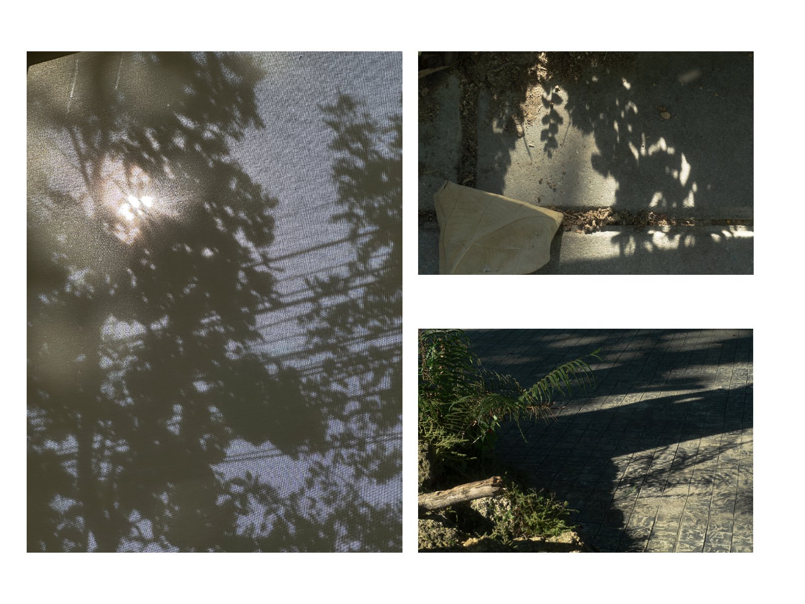 Foliage light — Page 30