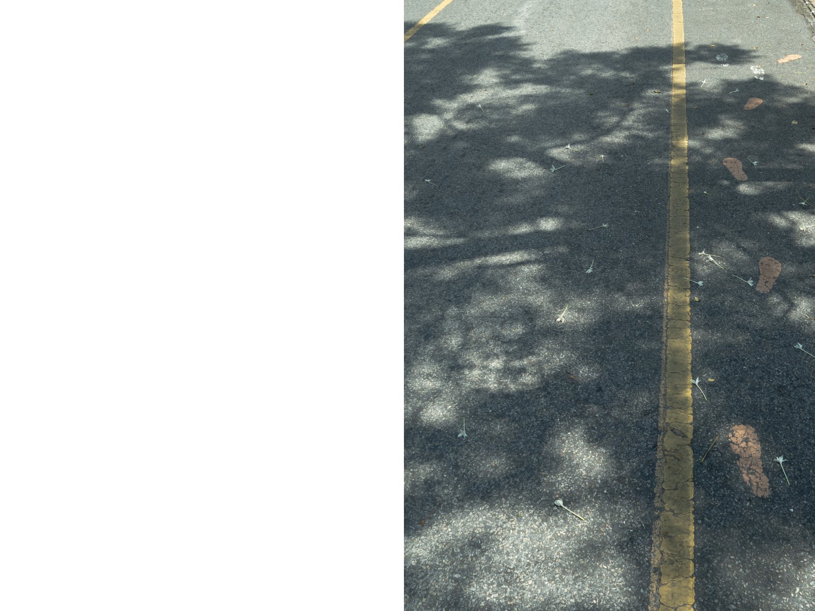 Foliage light — Page 33