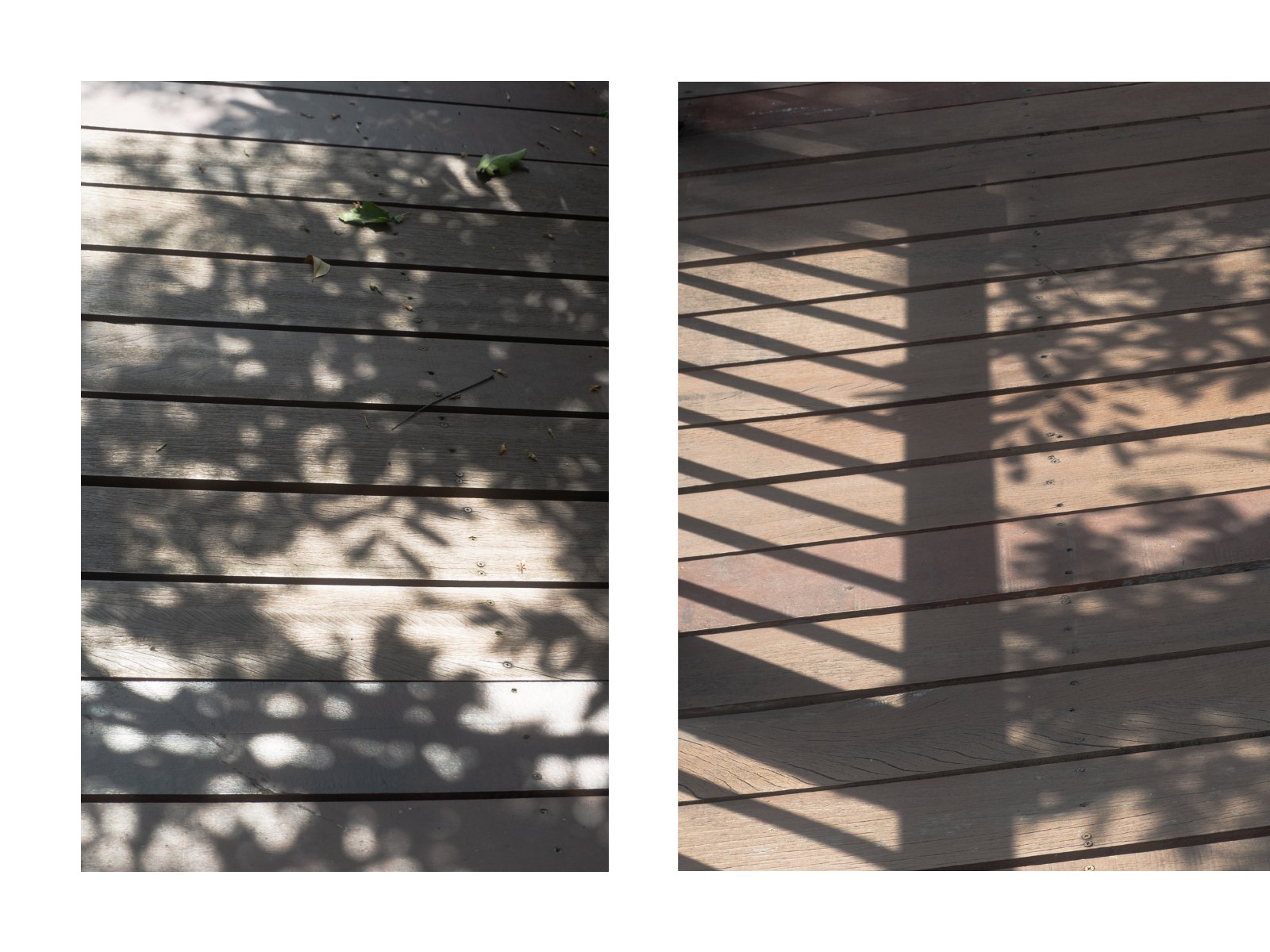 Foliage light — Page 44