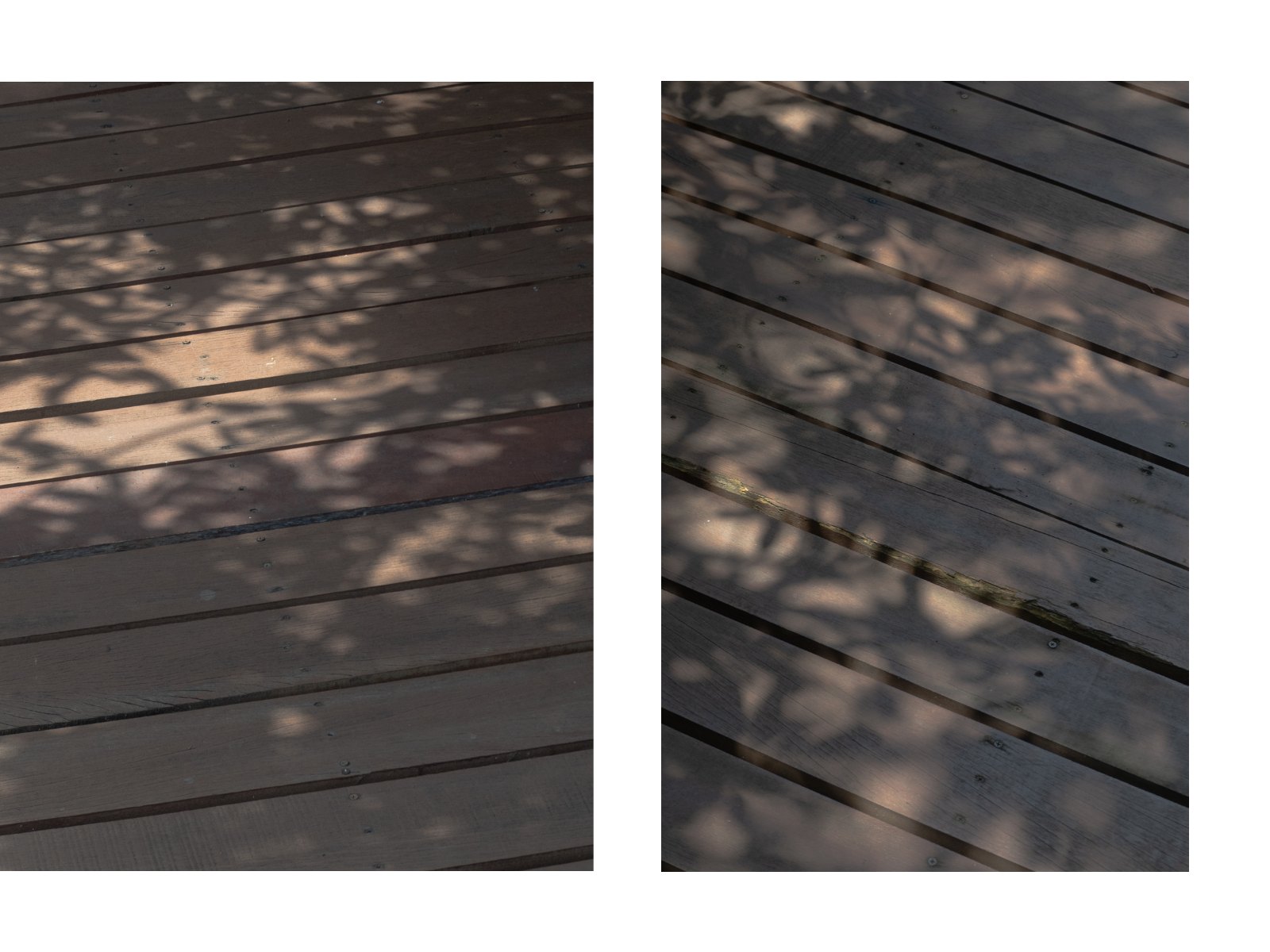 Foliage light — Page 45