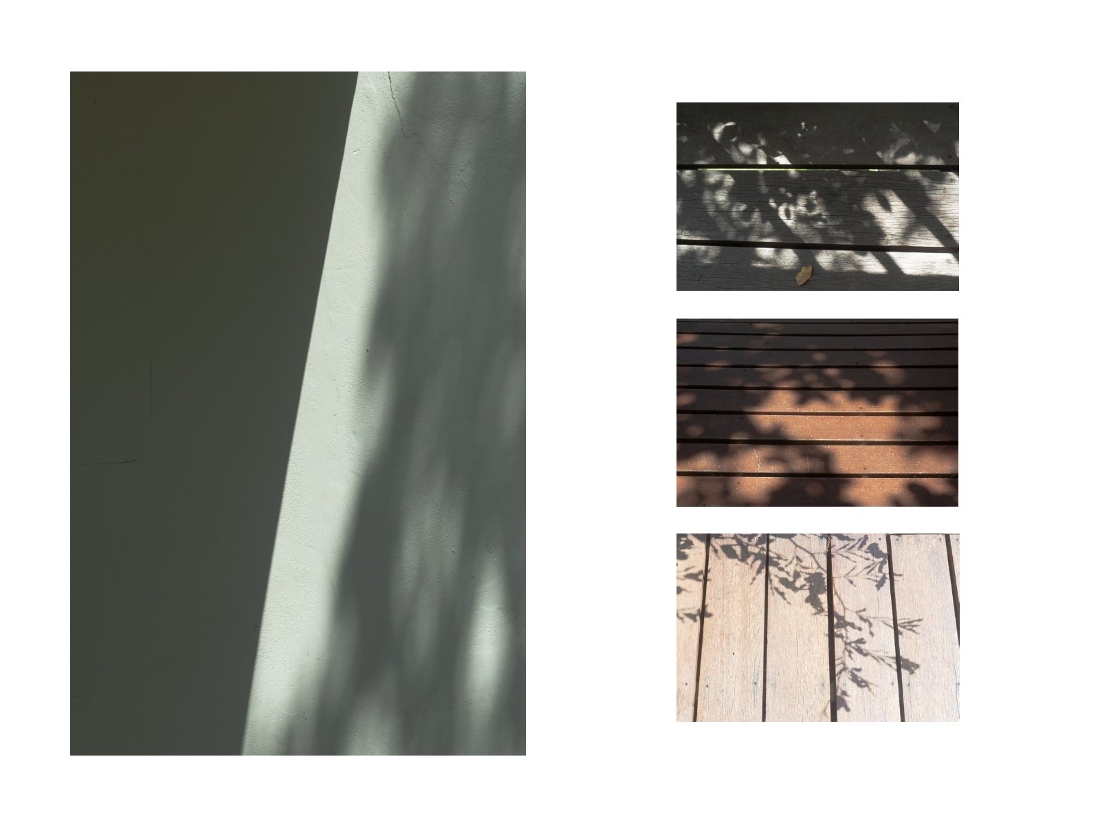 Foliage light — Page 48