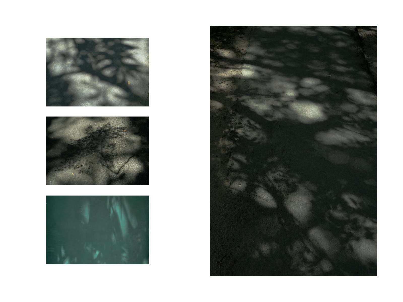 Foliage light — Page 49