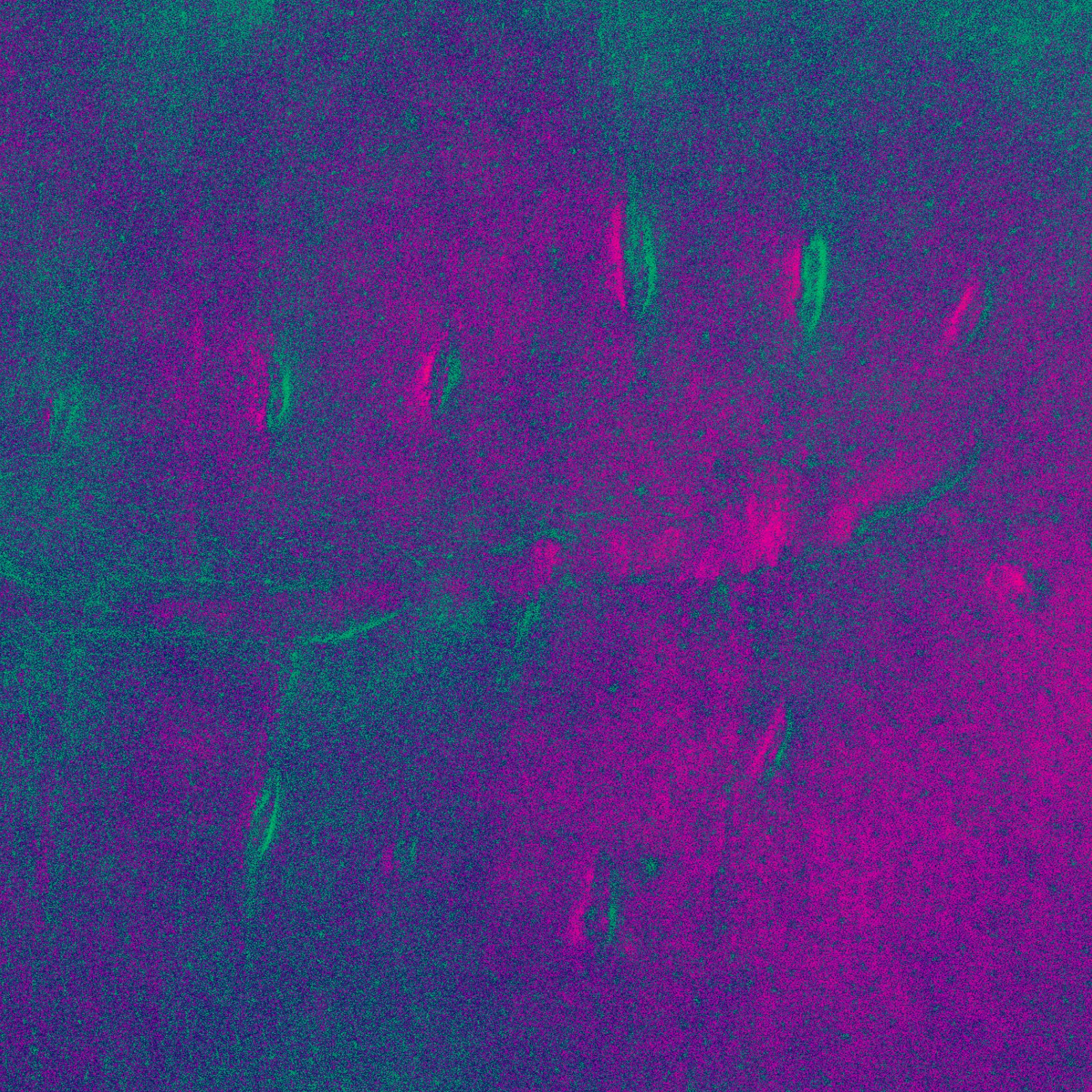 BODY AS ARCHIVE. — 49 ページ