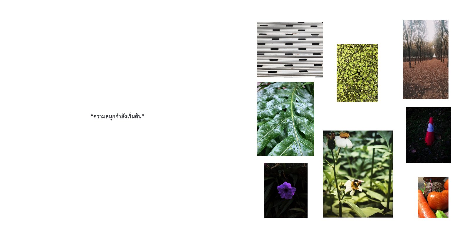 Behind the Lens: A Visual Journal — หน้า 4