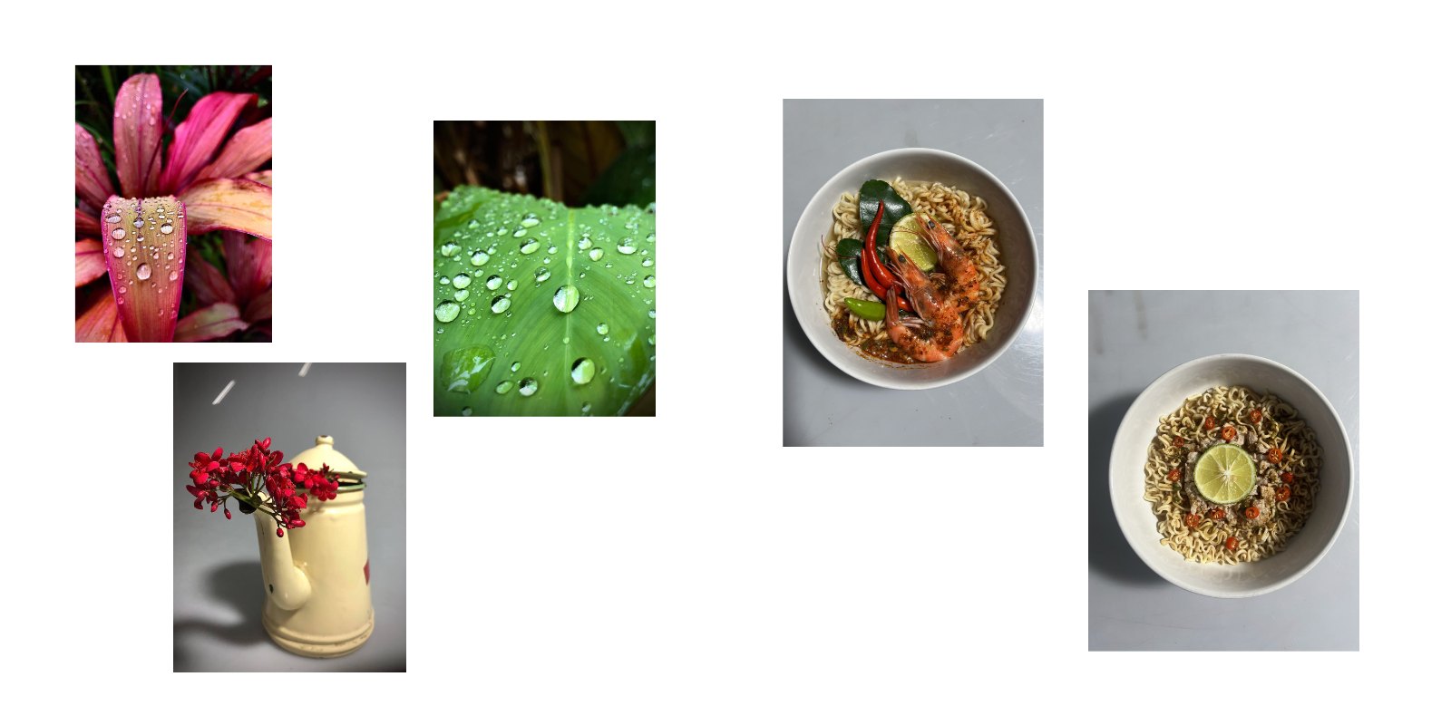 Behind the Lens: A Visual Journal — หน้า 5