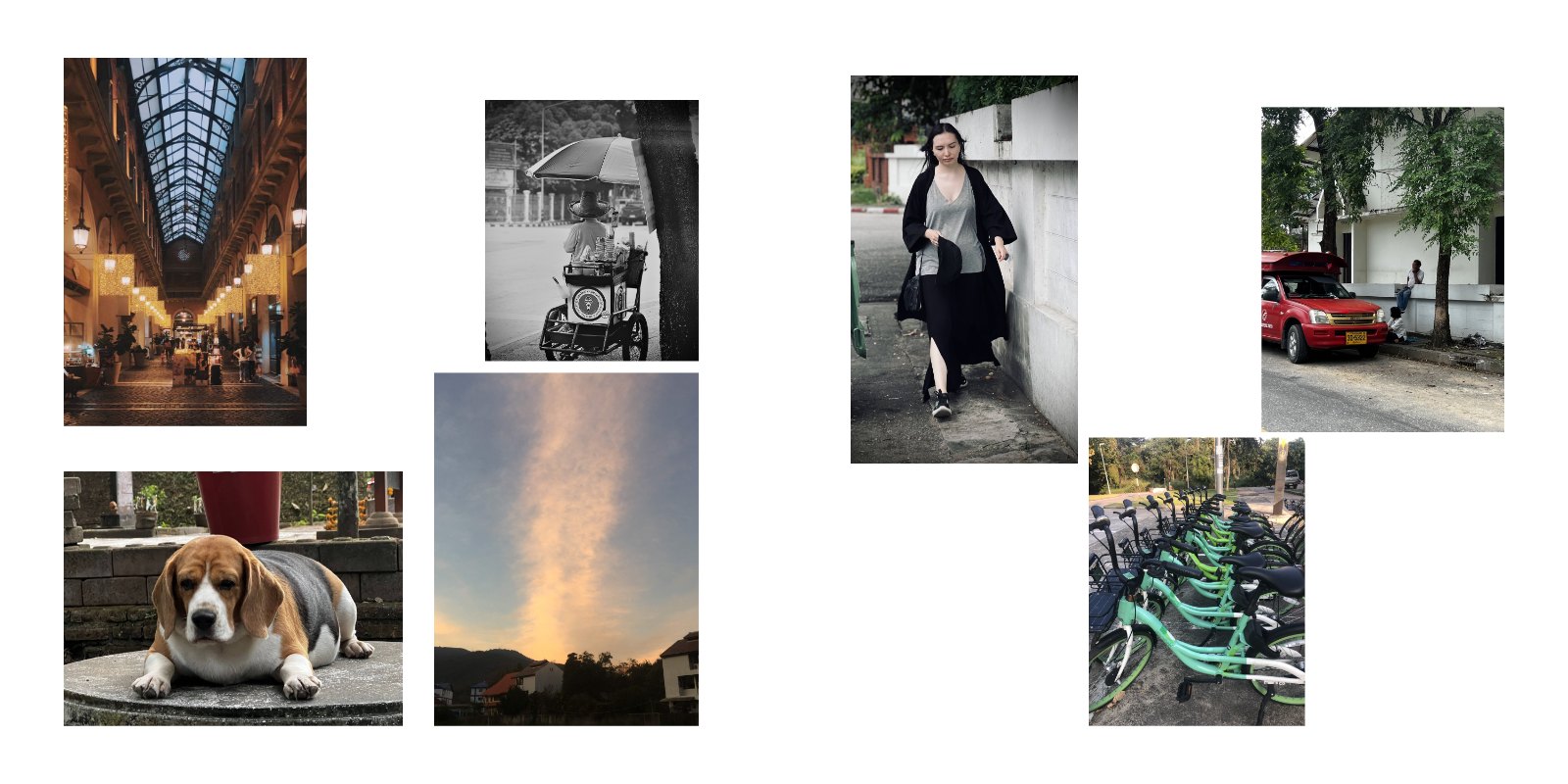 Behind the Lens: A Visual Journal — หน้า 8