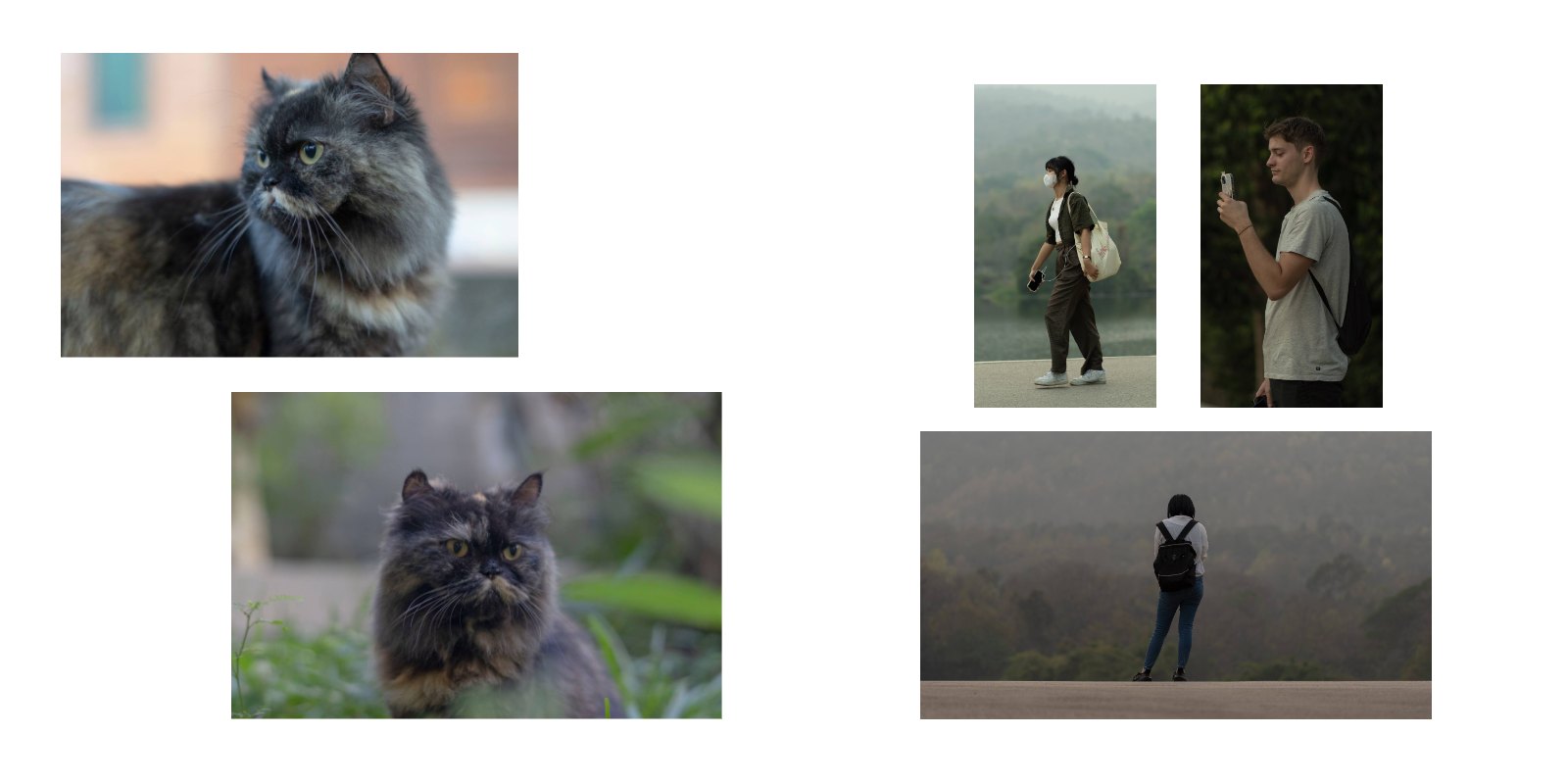 Behind the Lens: A Visual Journal — หน้า 11