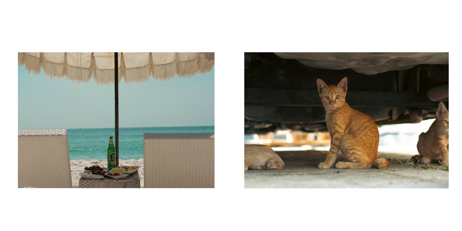 Behind the Lens: A Visual Journal — หน้า 14