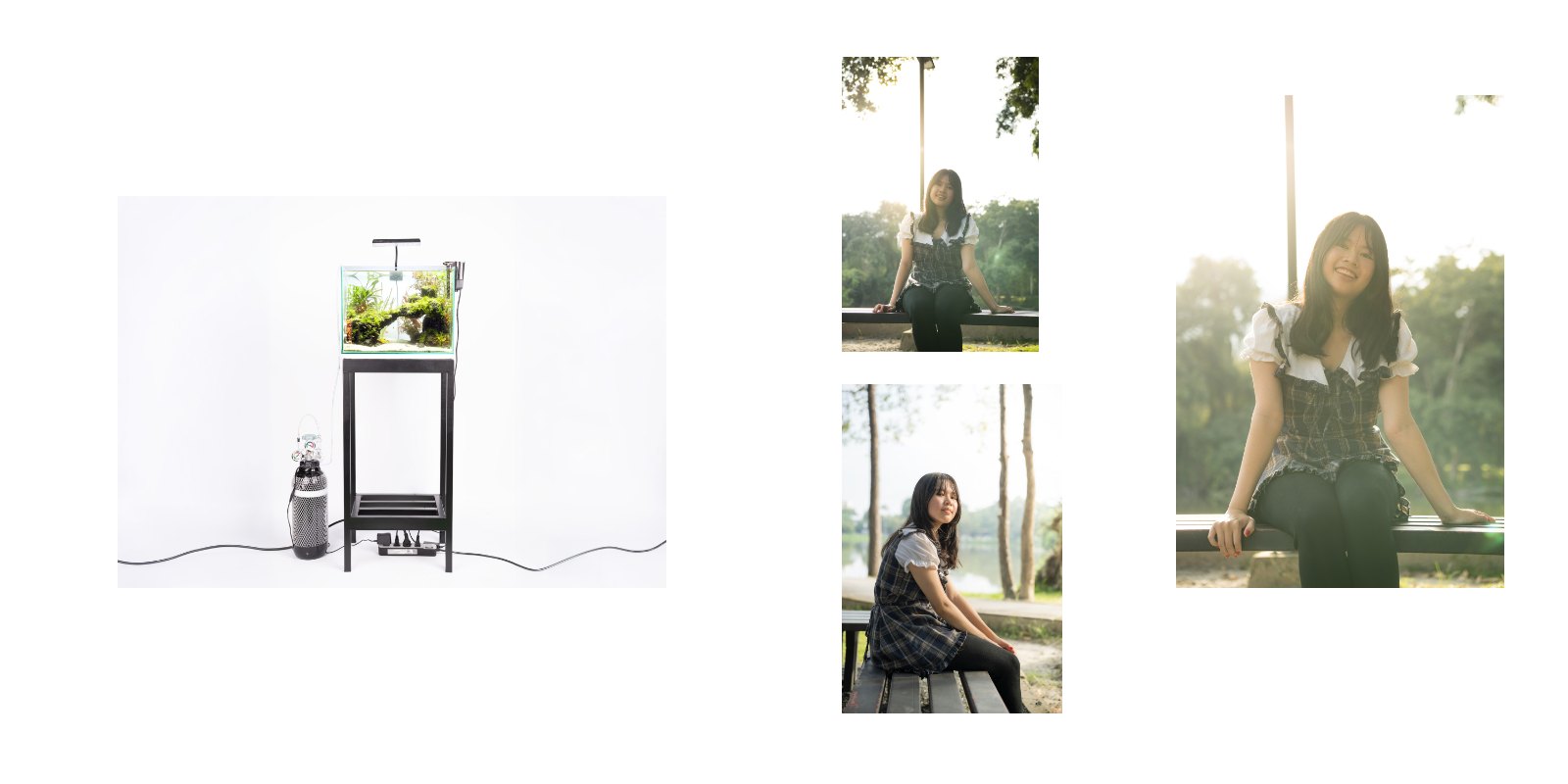 Behind the Lens: A Visual Journal — หน้า 29