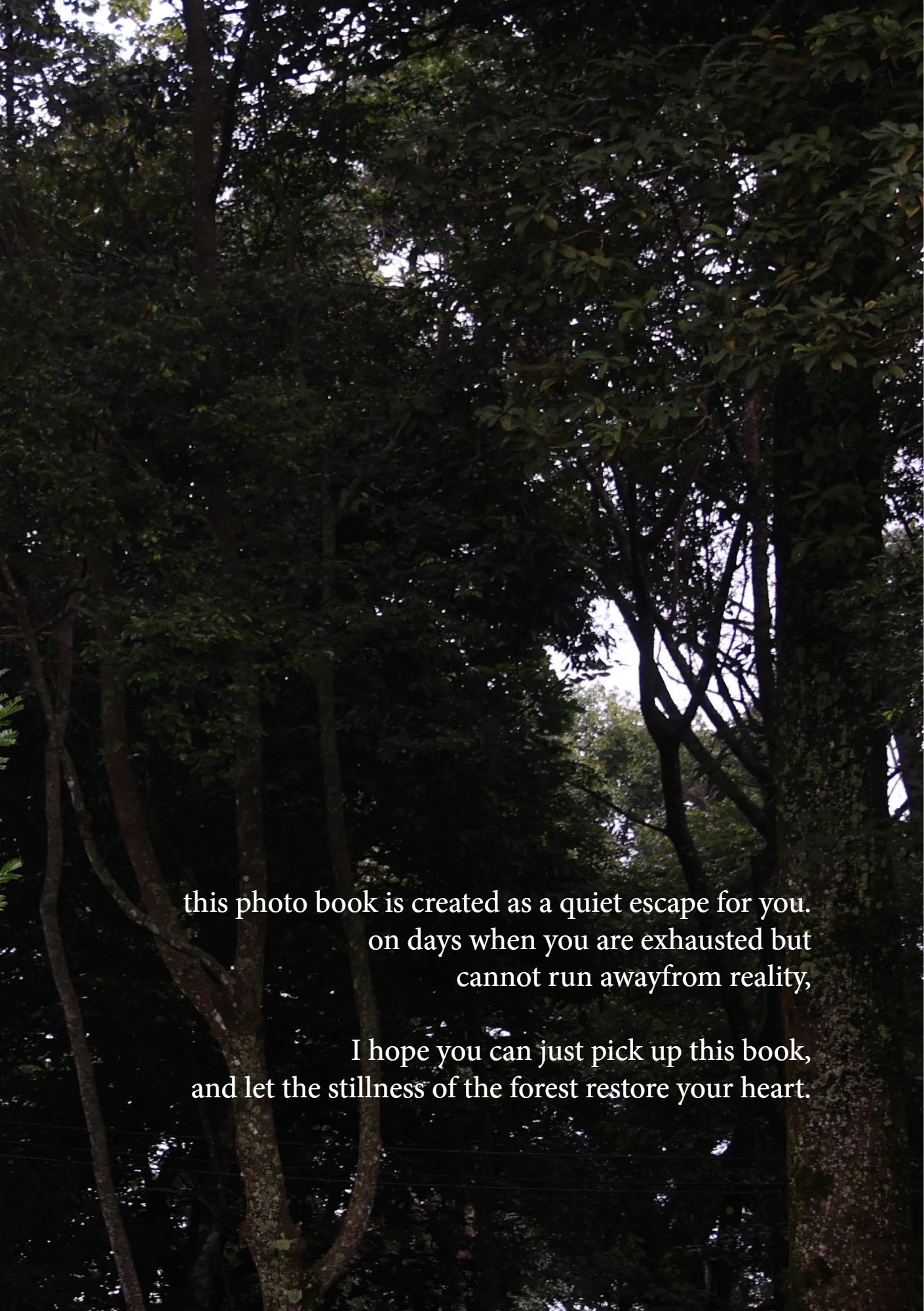 for(rest) — Page 3
