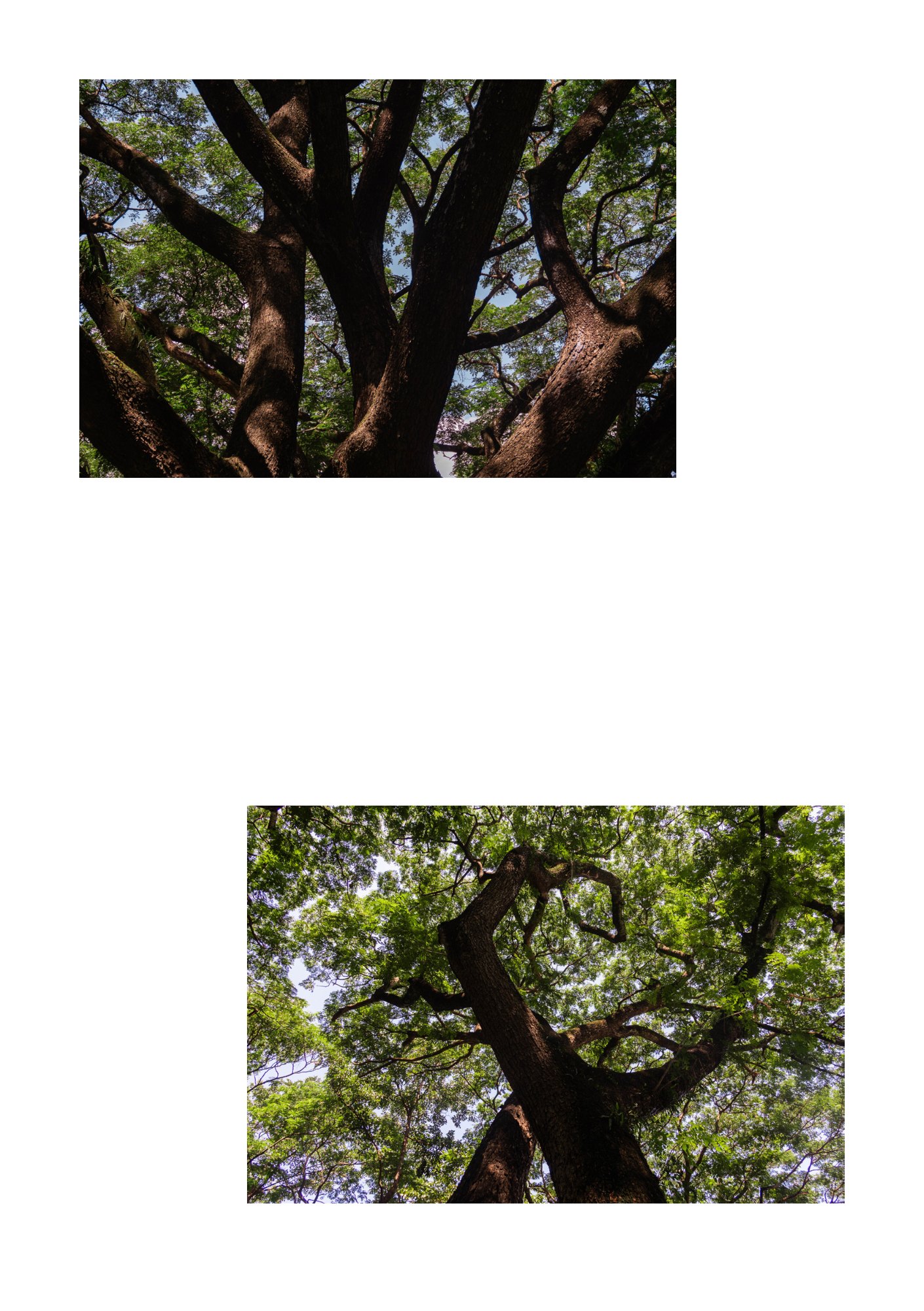 for(rest) — Page 10