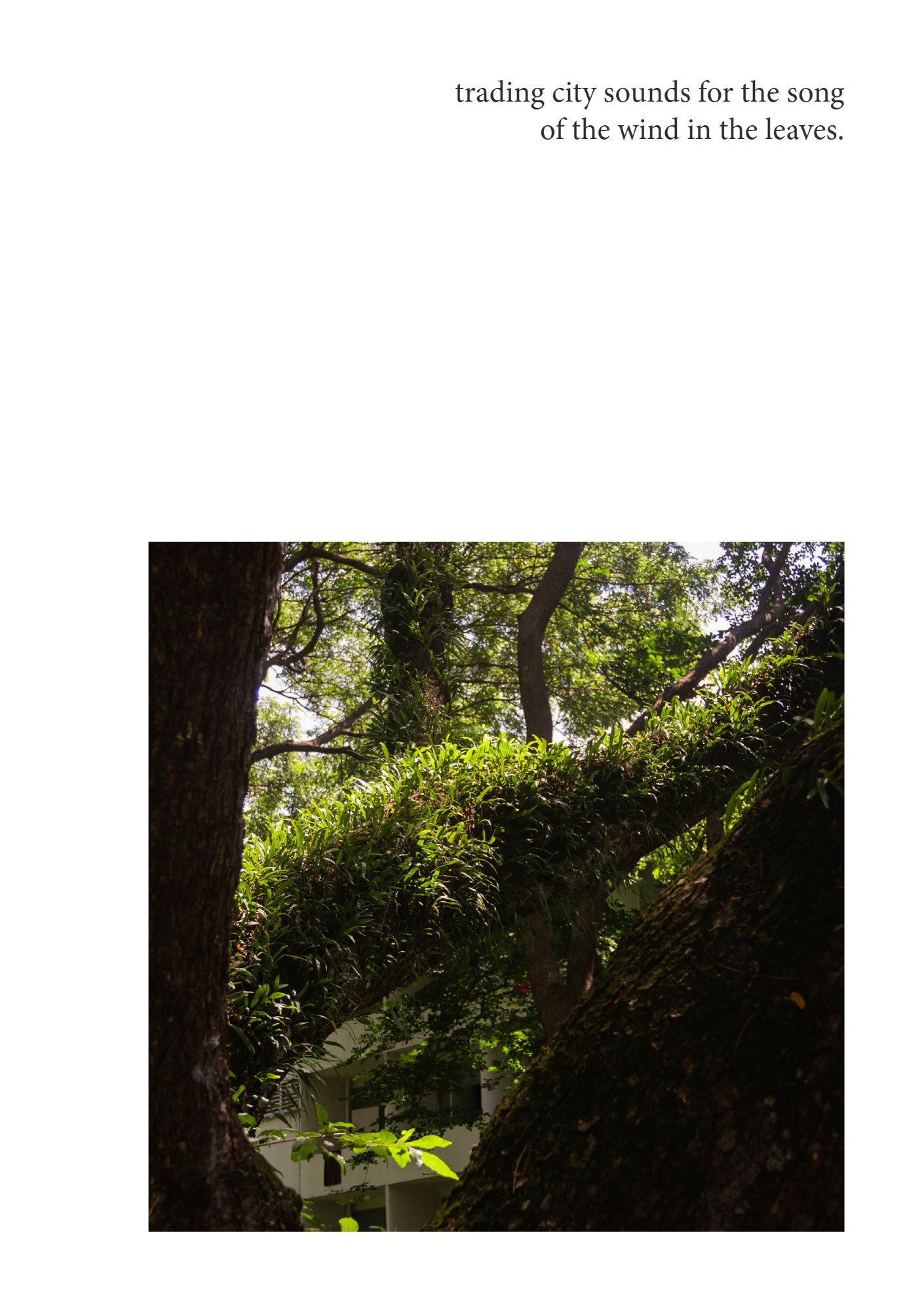 for(rest) — Page 11