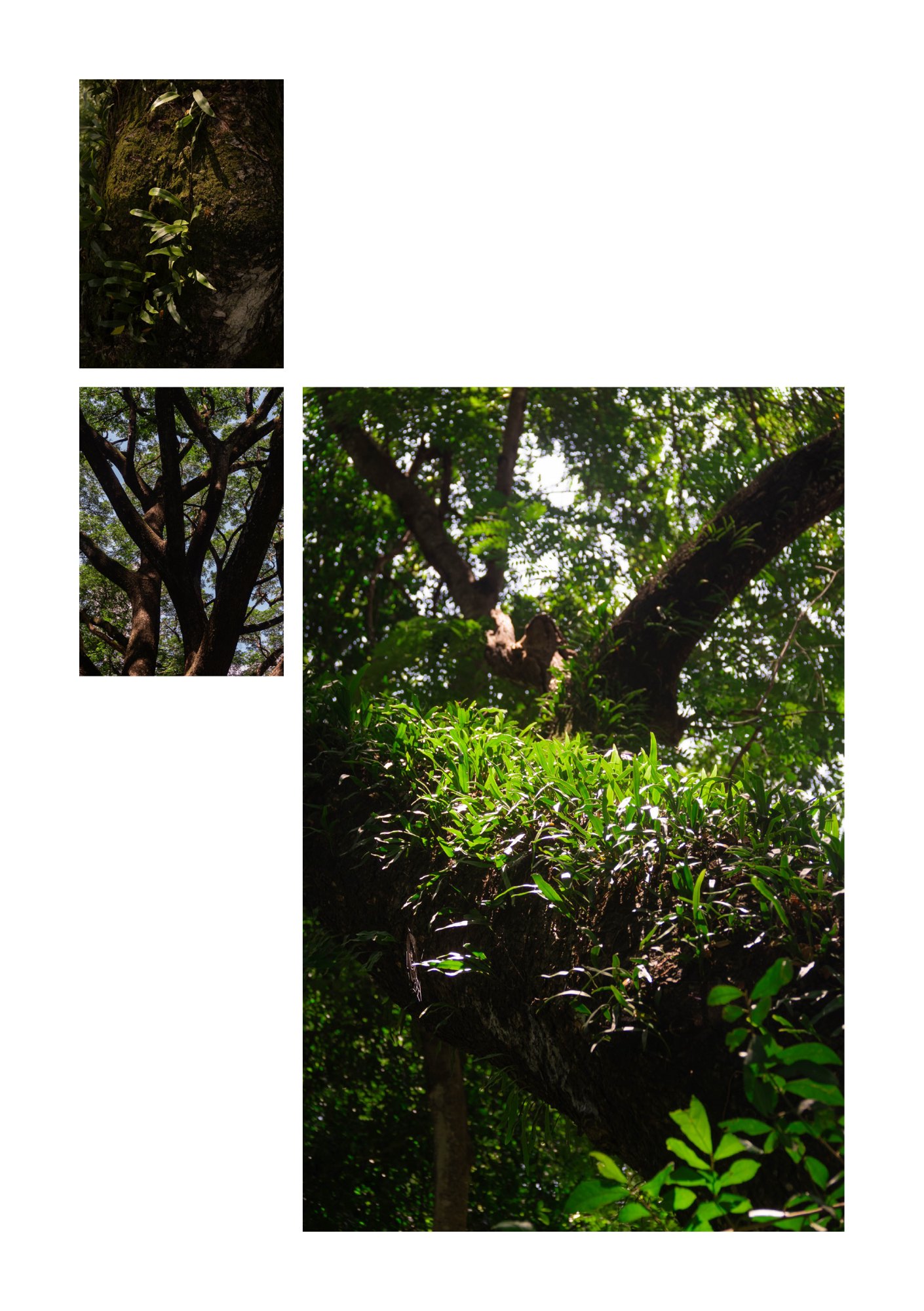 for(rest) — Page 13