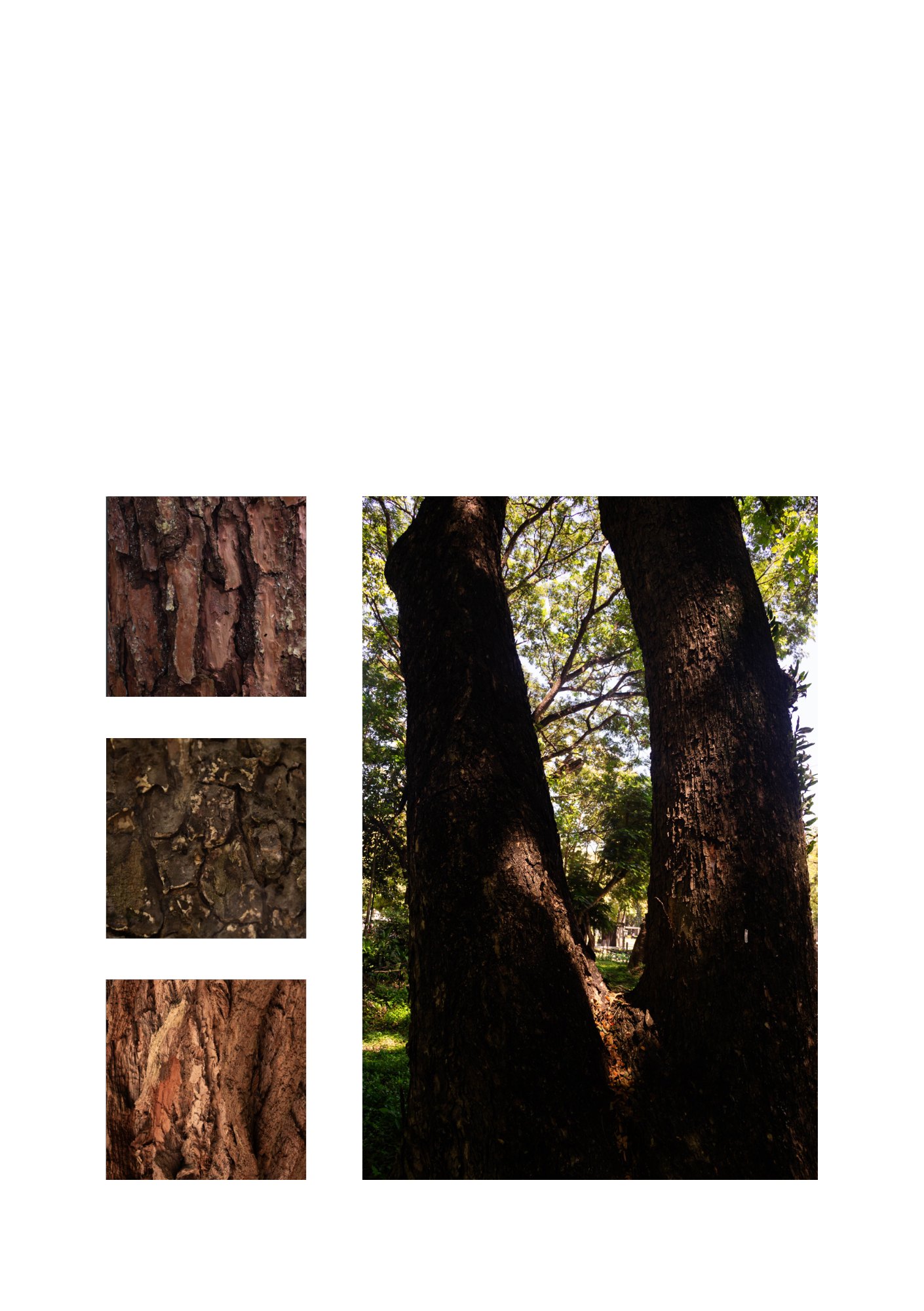 for(rest) — Page 15