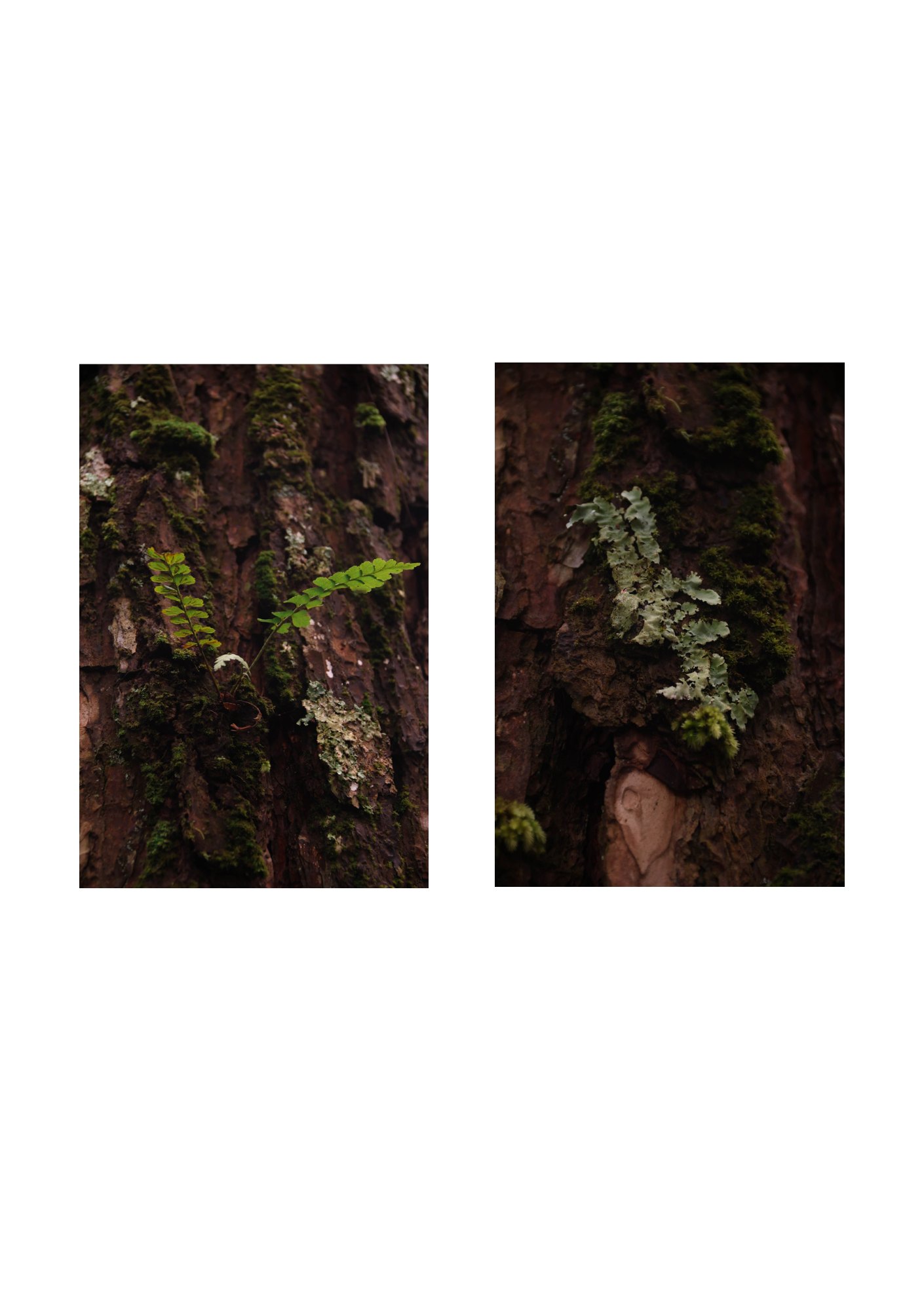for(rest) — Page 21