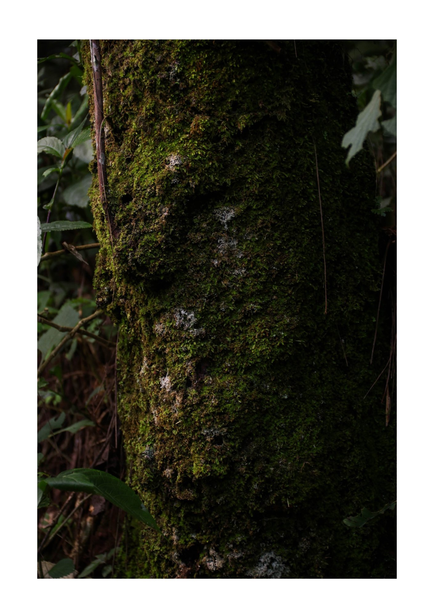 for(rest) — Page 30