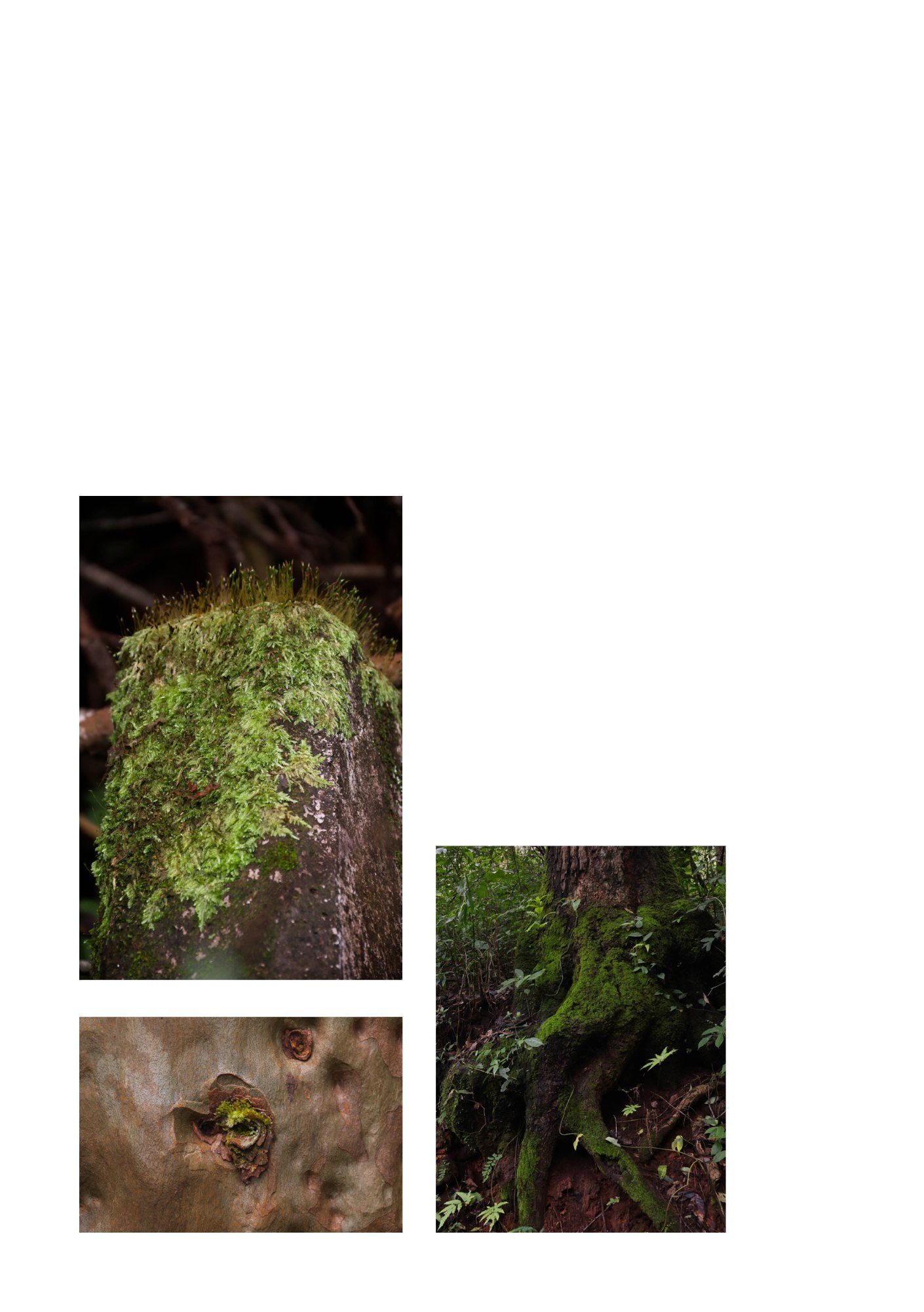 for(rest) — Page 31