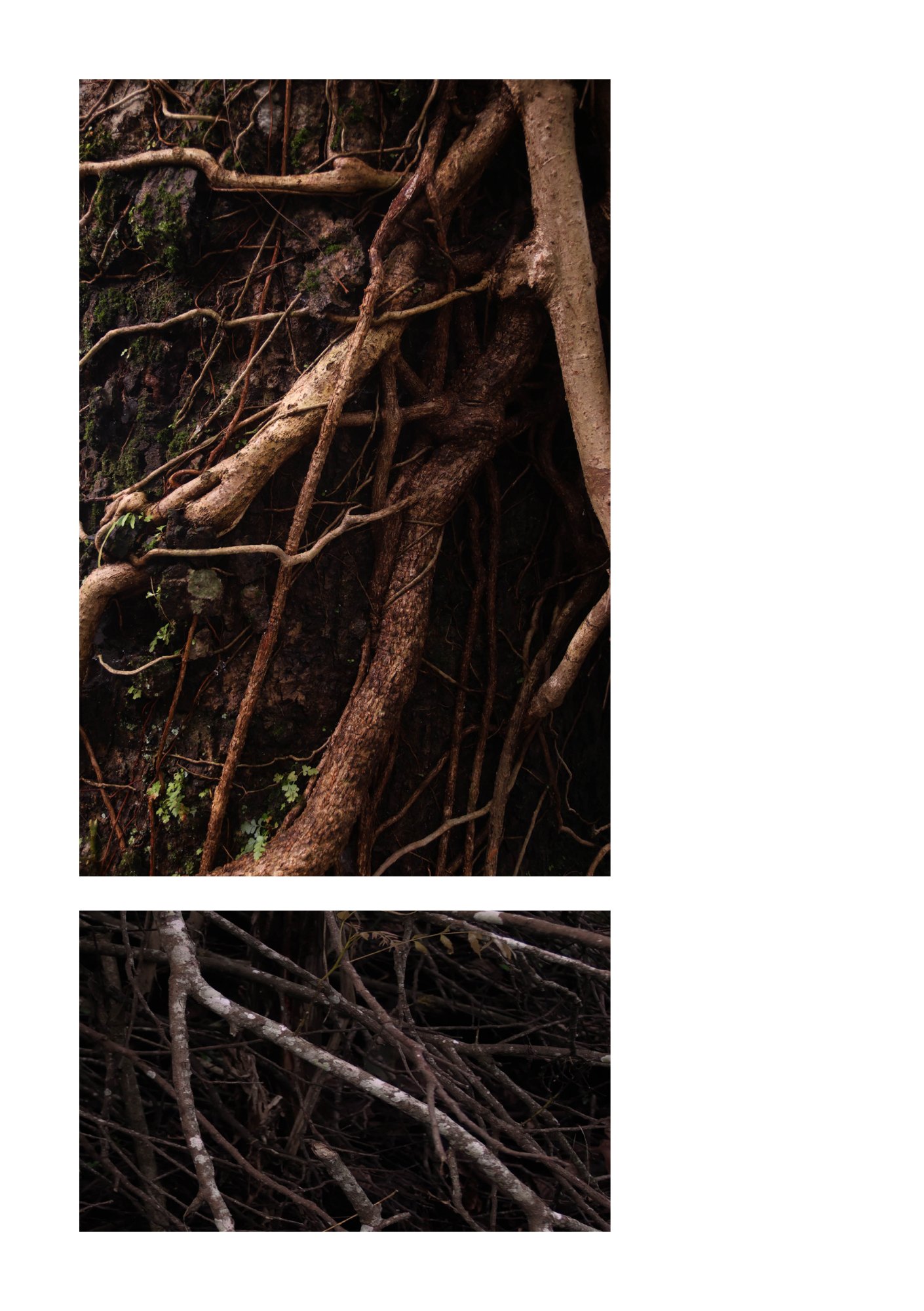 for(rest) — Page 32
