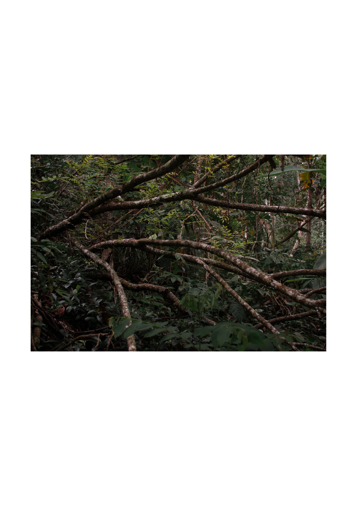 for(rest) — Page 33