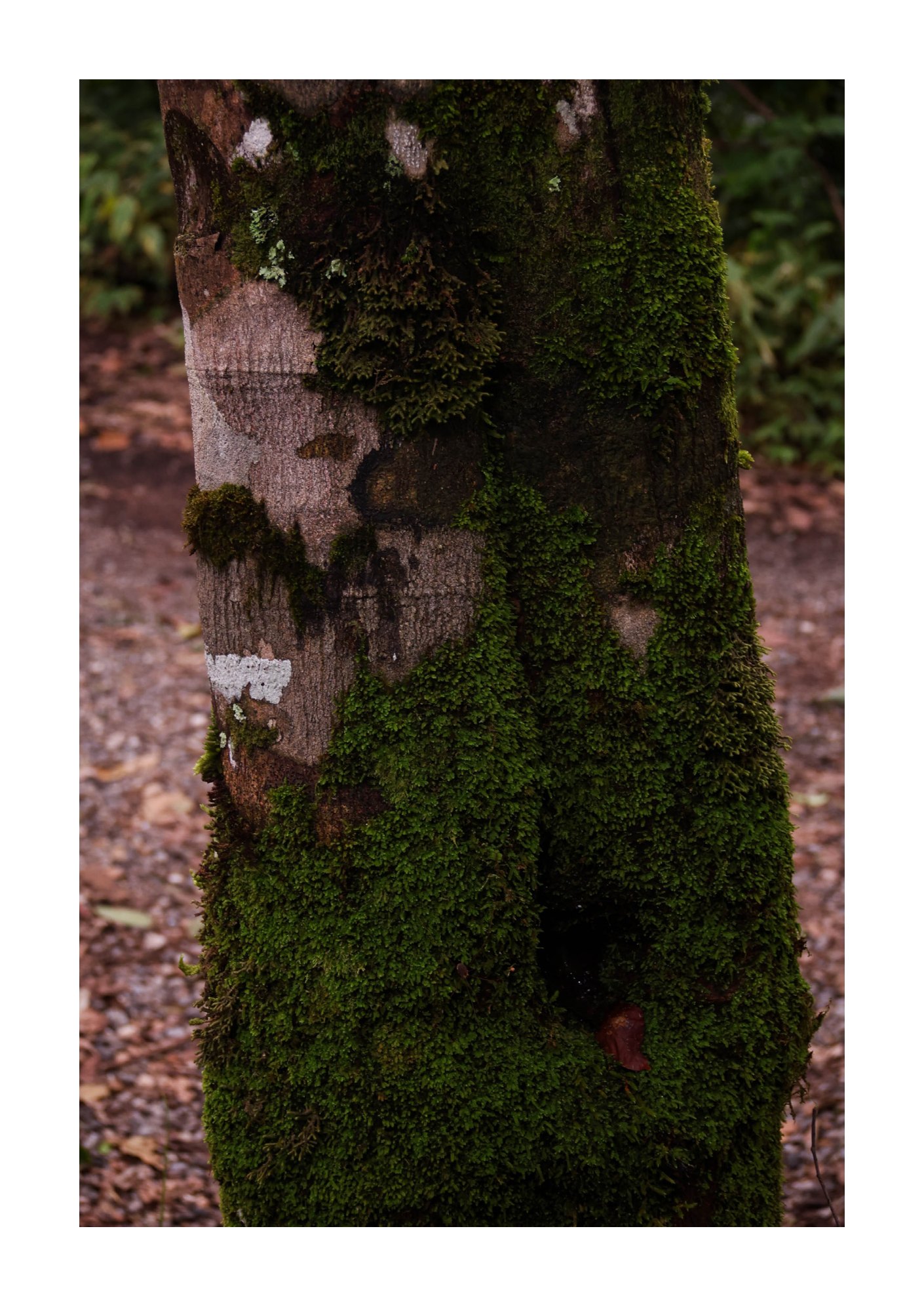 for(rest) — Page 34