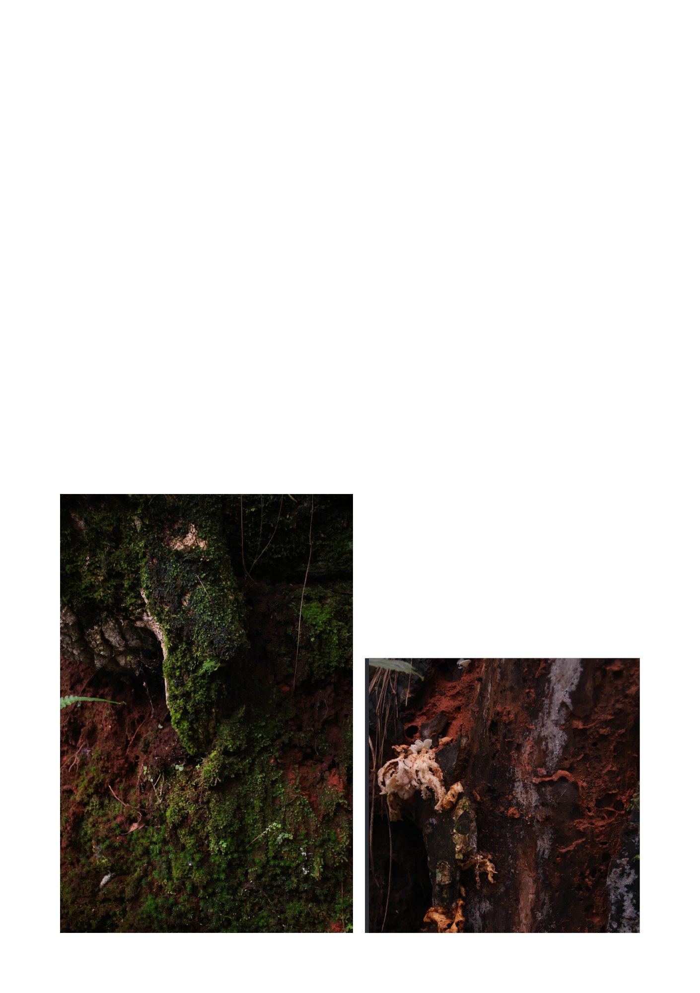 for(rest) — Page 36