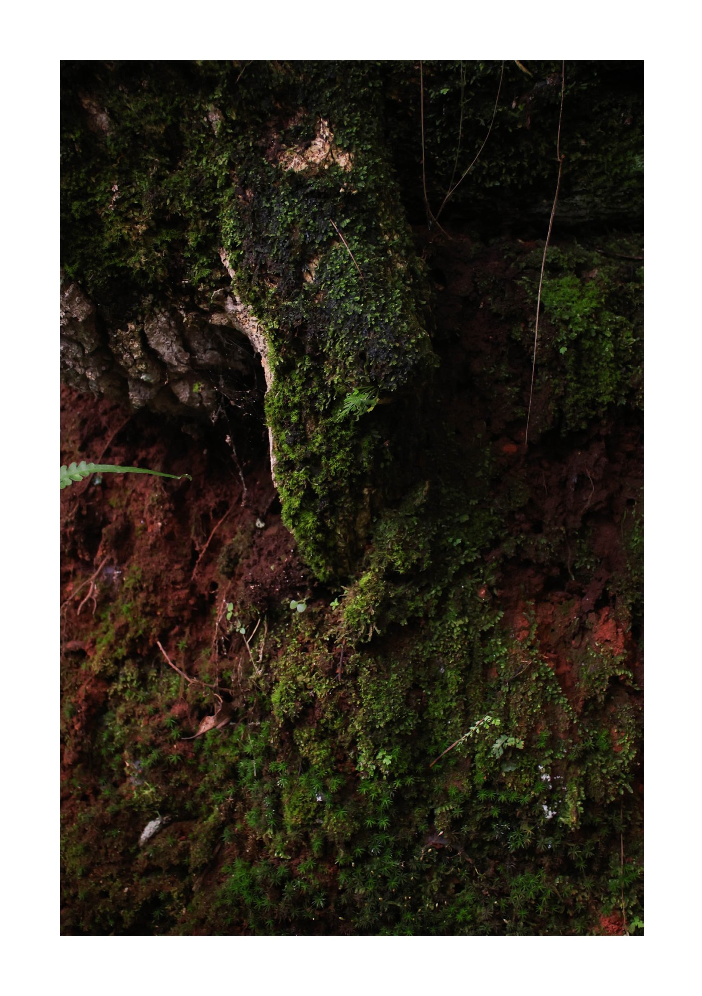 for(rest) — Page 47