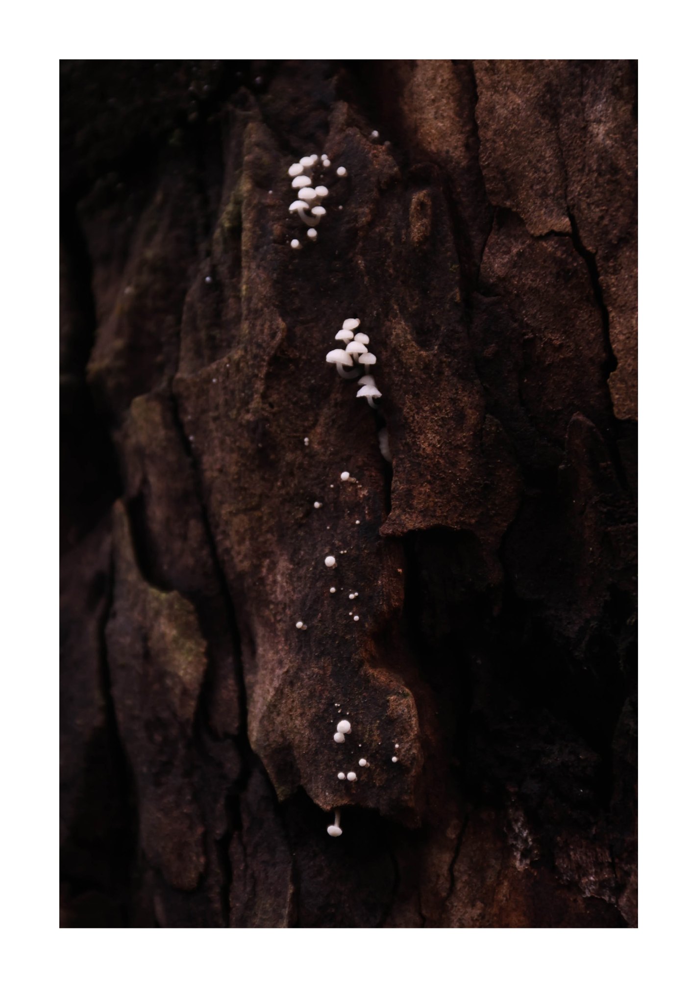 for(rest) — Page 48