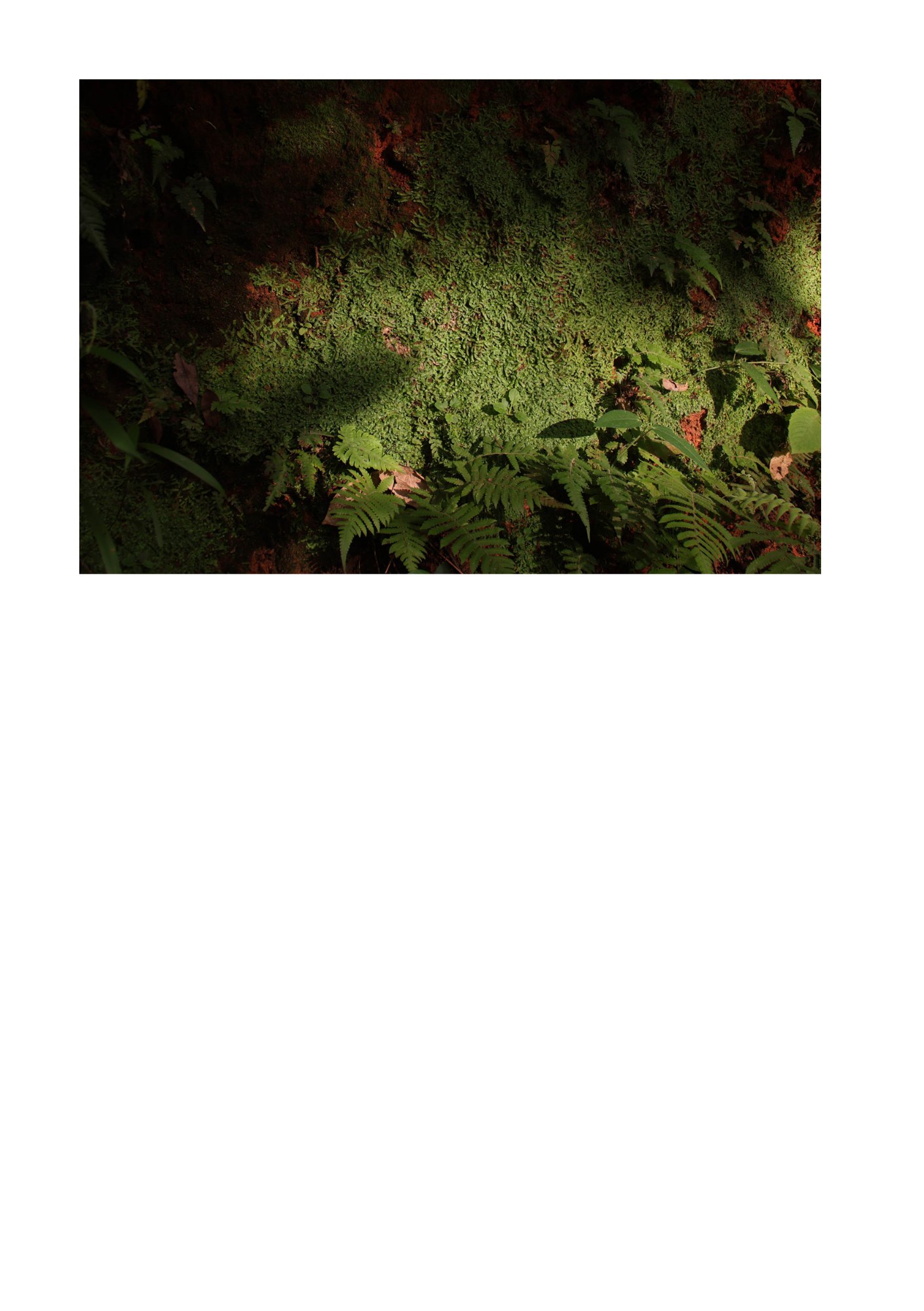 for(rest) — Page 49