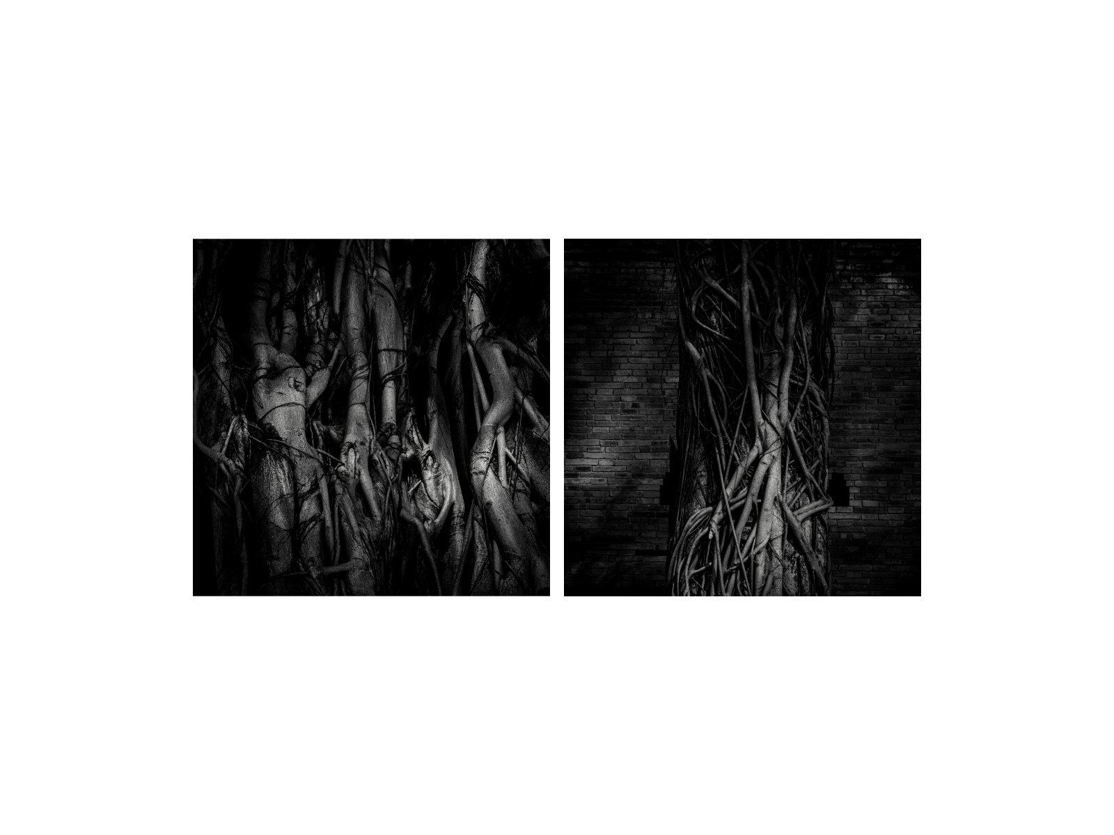 LOOKING FOR — หน้า 24