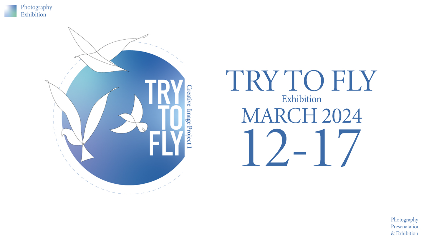 try to fly